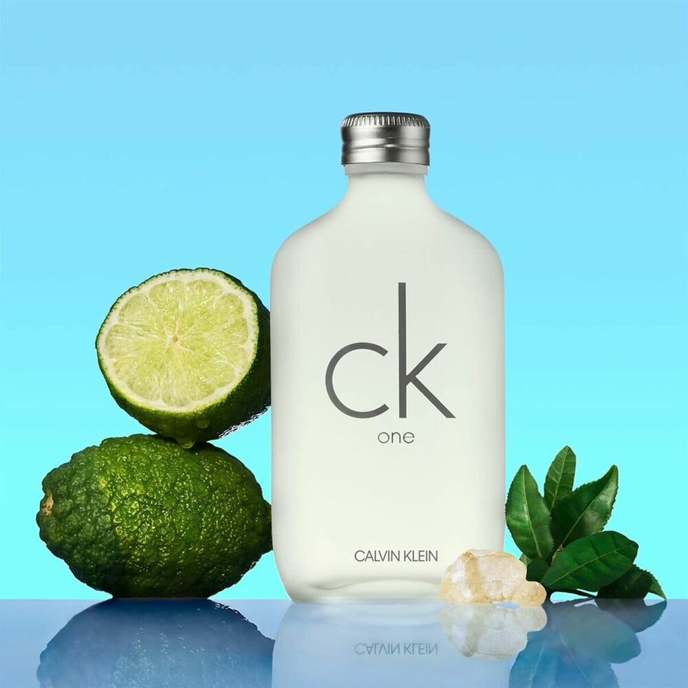 Calvin Klein CK One Eau de Toilette 50ml Spray, 50 ml for Unisex