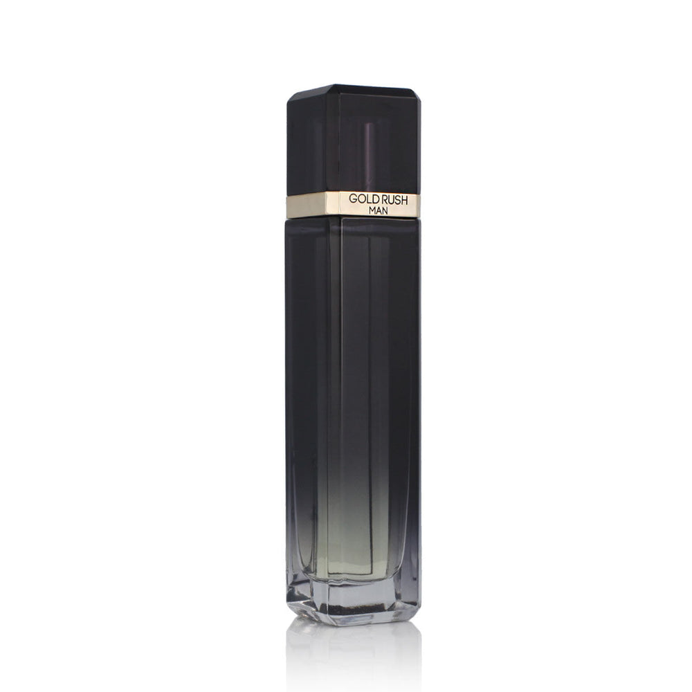 Paris Hilton Gold Rush Man Eau de Toilette 100ml Spray, 100 ml for Men