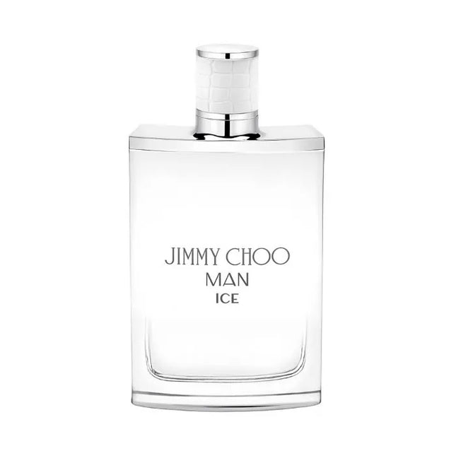 Jimmy Choo Man Ice Eau de Toilette 30ml Spray, 30 ml for Men