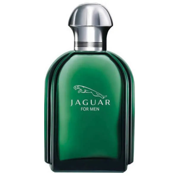 Jaguar Jaguar Eau de Toilette 100ml Spray, 100 ml for Men