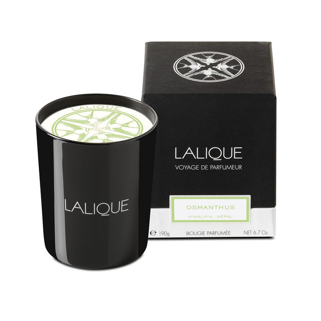 Lalique Candle 190g - Osmanthus Himalaya for Women