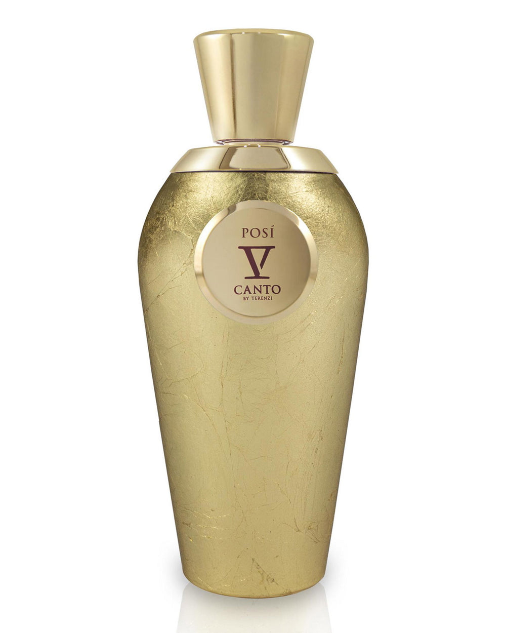 V Canto Posi Extrait de Parfum 100ml Spray, 100 ml for Unisex