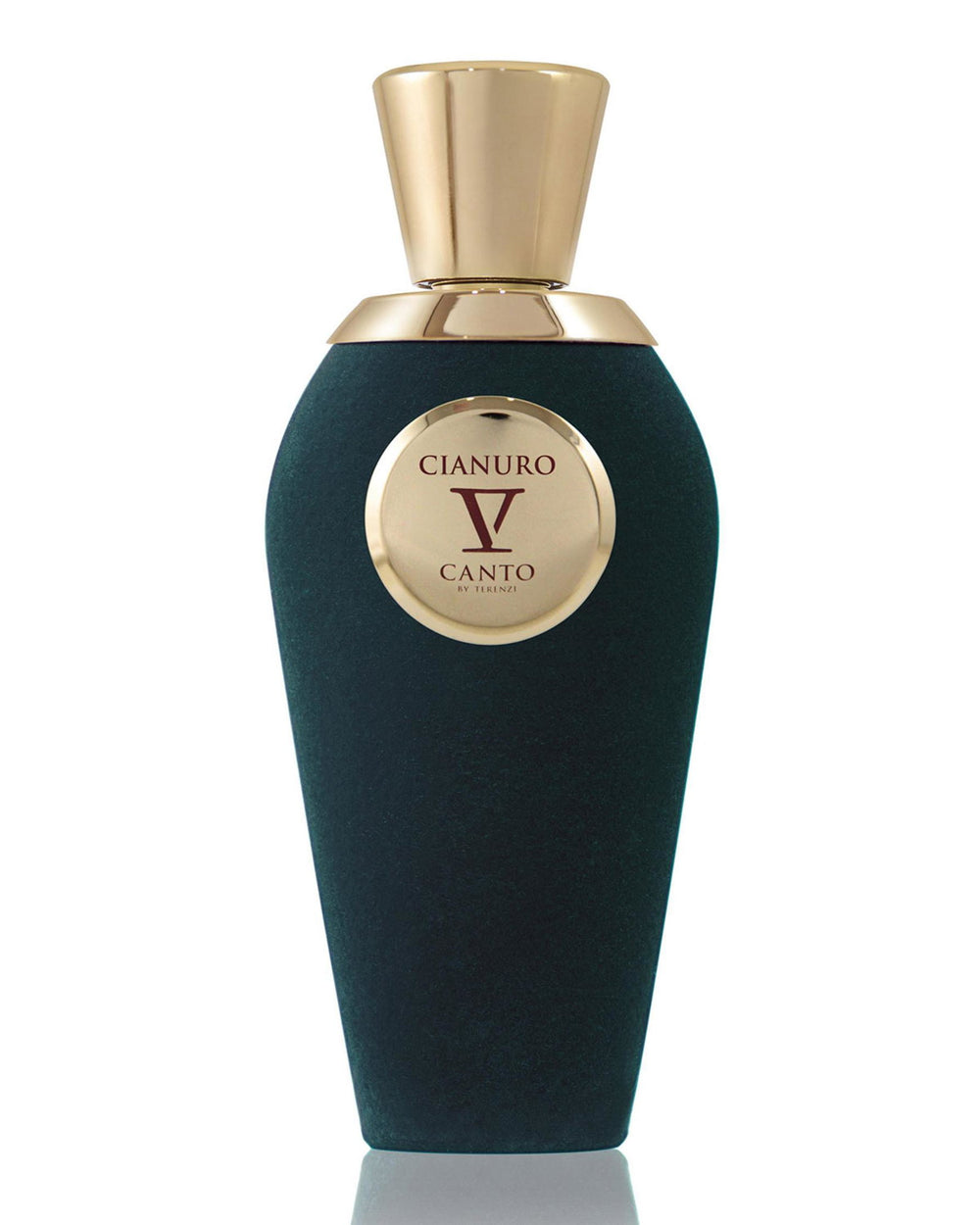 V Canto Cianuro Extrait De Parfum 100ml Spray, 100 ml for Unisex