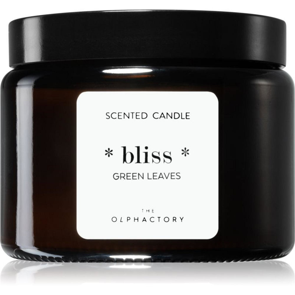 The Olphactory Bliss Green Leaves Scented Candle 360g, 360 ml for Unisex