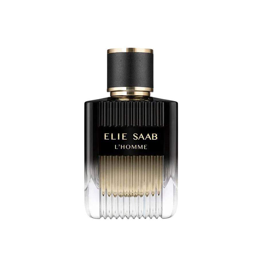Elie Saab L'Homme Eau de Parfum 100ml Spray, 100 ml for Men