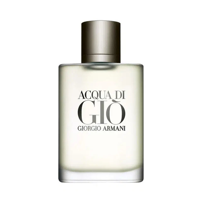 Giorgio Armani Acqua di Gio Pour Homme Refillable 100ml, 100 ml