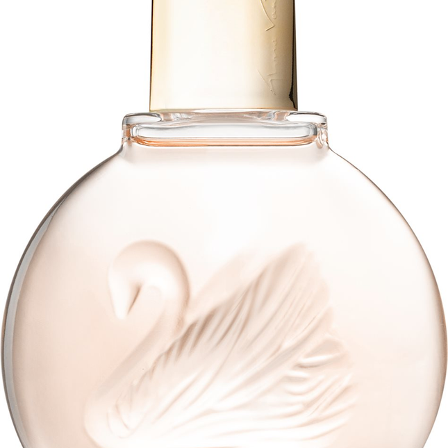 Gloria Vanderbilt Miss Vanderbilt Eau de Toilette 100ml Spray, 100 ml for Women