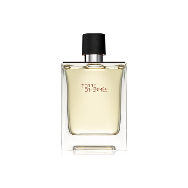 Hermès Terre d'Hermès Eau de Toilette 100ml Spray, 100 ml for Men