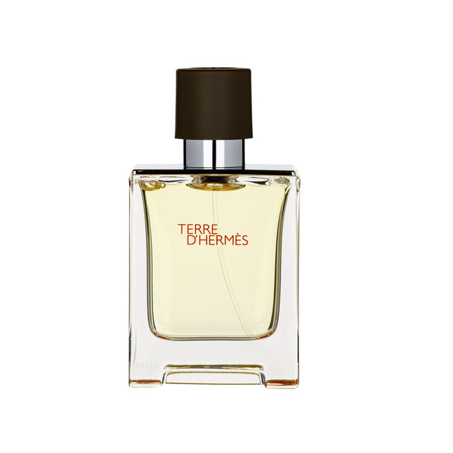 Hermès Terre d'Hermès Eau de Toilette 50ml Spray, 50 ml for Men
