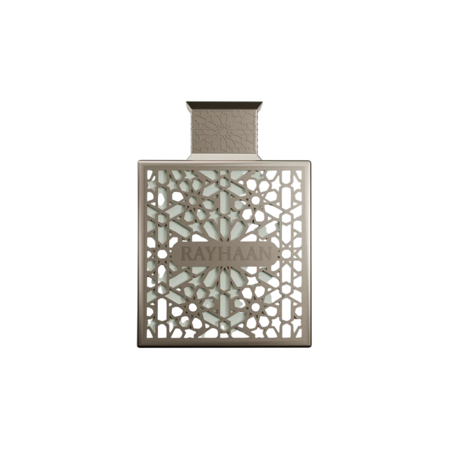 Rayhaan Terra Eau de Parfum 100ml Spray, 100 ml for Men
