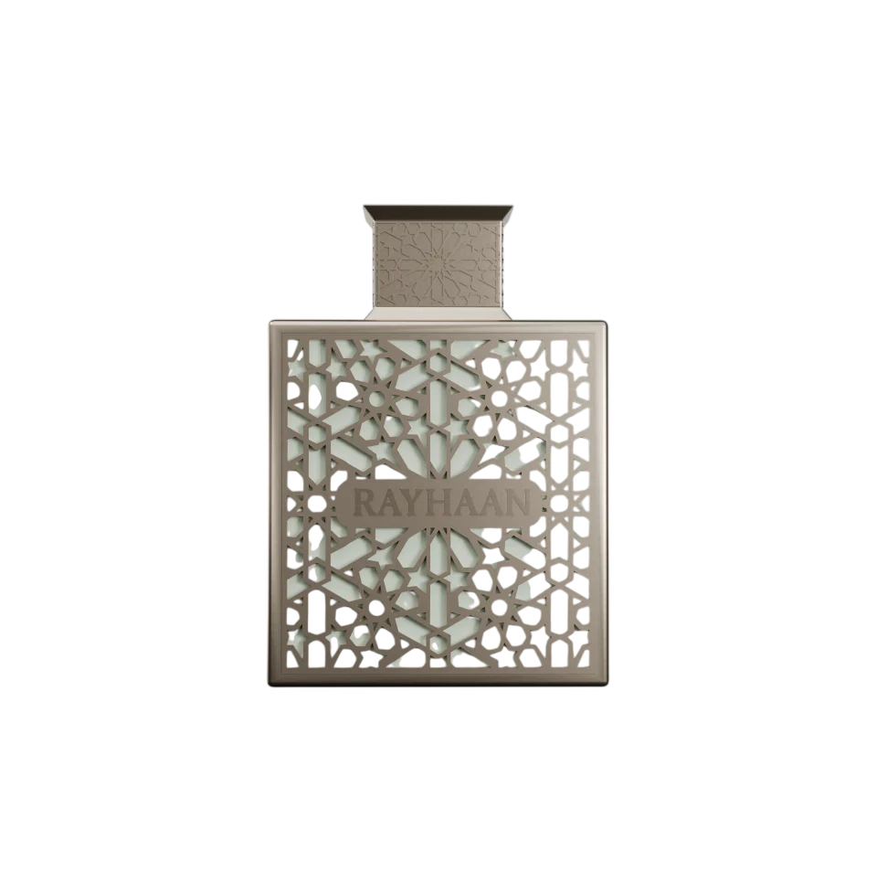 Rayhaan Terra Eau de Parfum 100ml Spray, 100 ml for Men