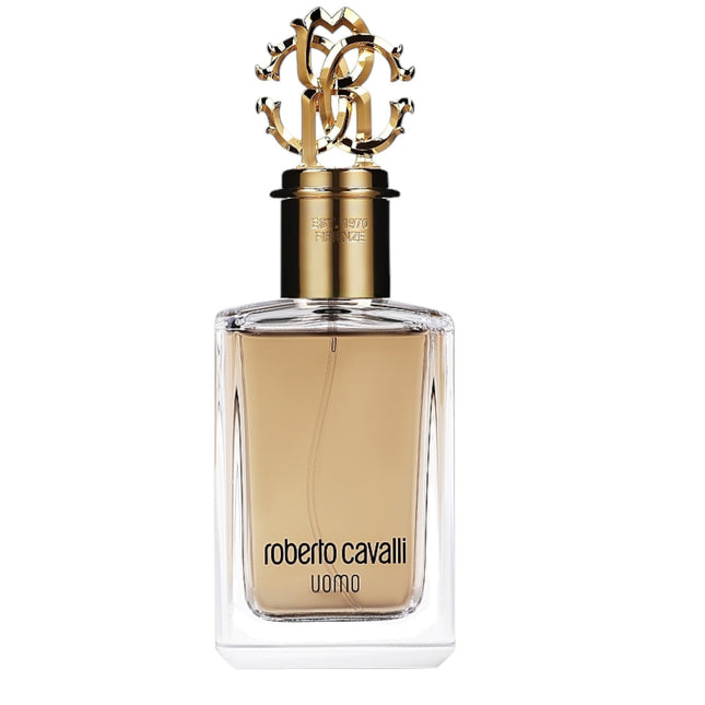 Roberto Cavalli Uomo Eau De Parfum 100ml, 100 ml for Men